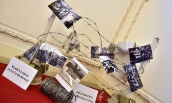 Brück/che – Kulturprojekt zum 30 Jahre Fall des Eisernen Vorhangs (2019)