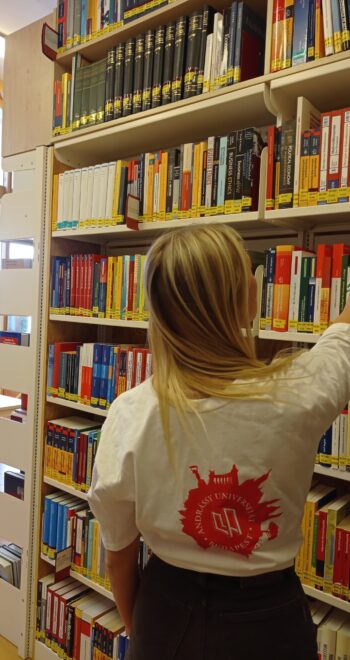 Masterstudiengang Internationale Beziehungen