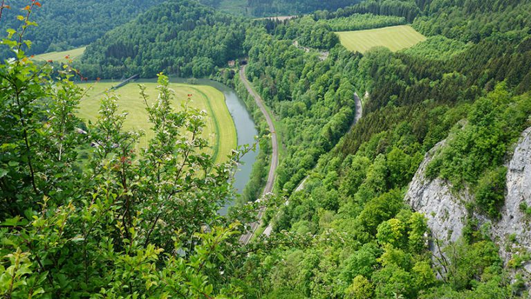 Qualität der Demokratie im Donauraum Beitragsbild